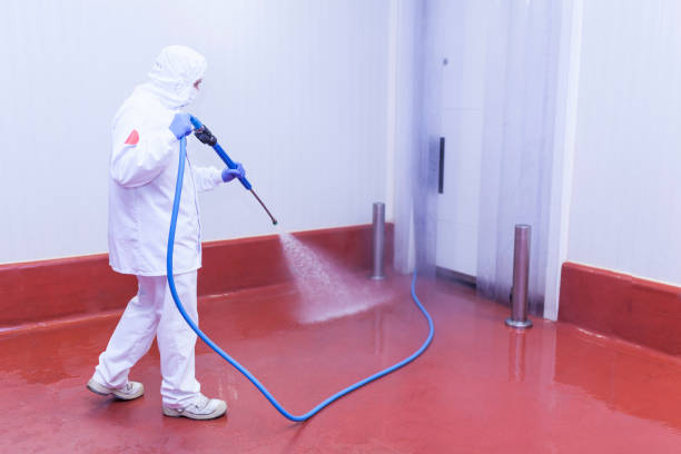  New Egypt, NJ Pressure Washing Pros